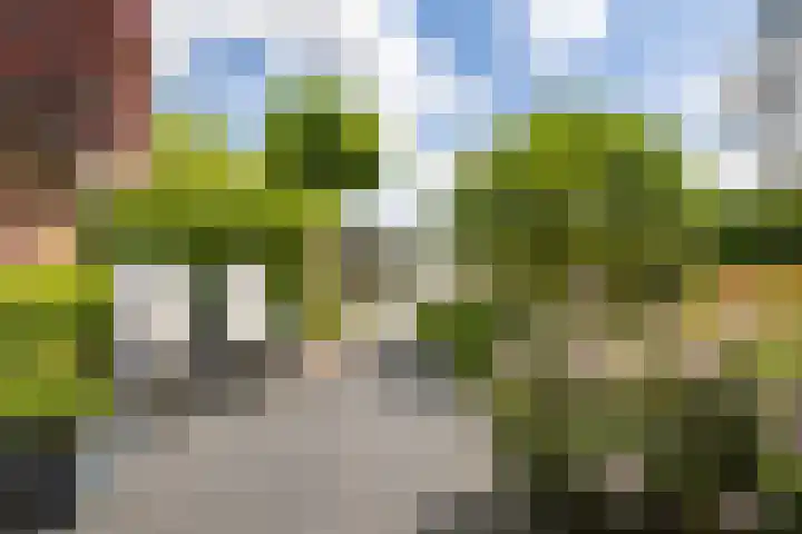 Maaslaan 2 Kropswolde thumbnail 42