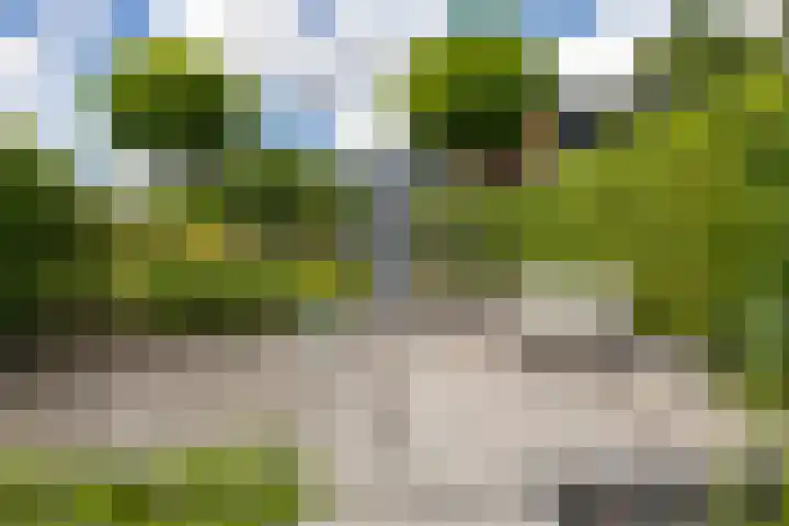 Maaslaan 2 Kropswolde thumbnail 43