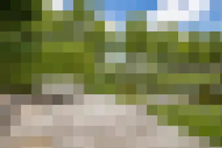 Maaslaan 2 Kropswolde thumbnail 44
