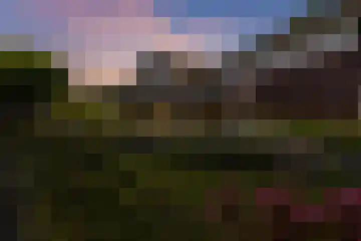 Maaslaan 2 Kropswolde thumbnail 47