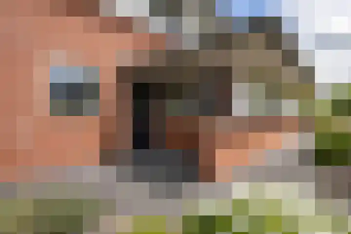 Maaslaan 2 Kropswolde thumbnail 5