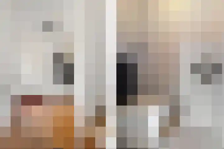 Maaslaan 2 Kropswolde thumbnail 7