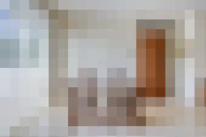 Maaslaan 25 Son en Breugel thumbnail 11