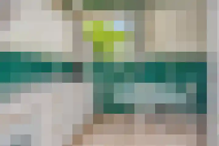 Maaslaan 25 Son en Breugel thumbnail 13