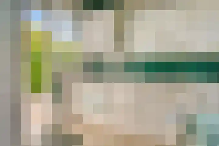 Maaslaan 25 Son en Breugel thumbnail 14