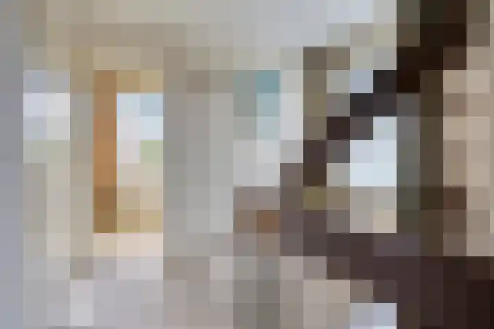 Maaslaan 25 Son en Breugel thumbnail 27