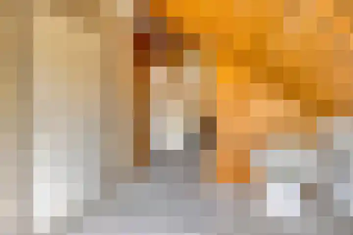 Maaslaan 25 Son en Breugel thumbnail 28