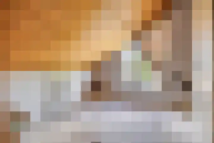 Maaslaan 25 Son en Breugel thumbnail 31