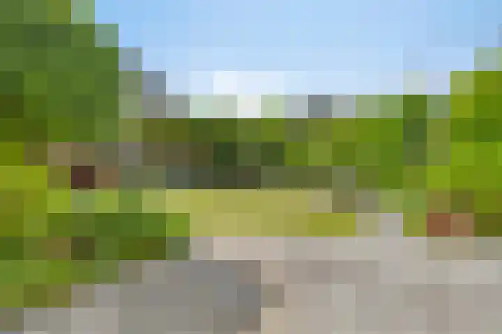 Maaslaan 25 Son en Breugel thumbnail 33