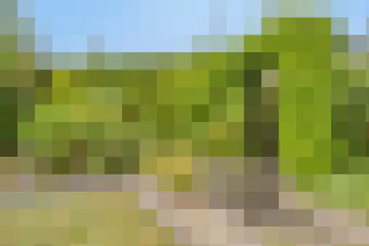 Maaslaan 25 Son en Breugel thumbnail 34