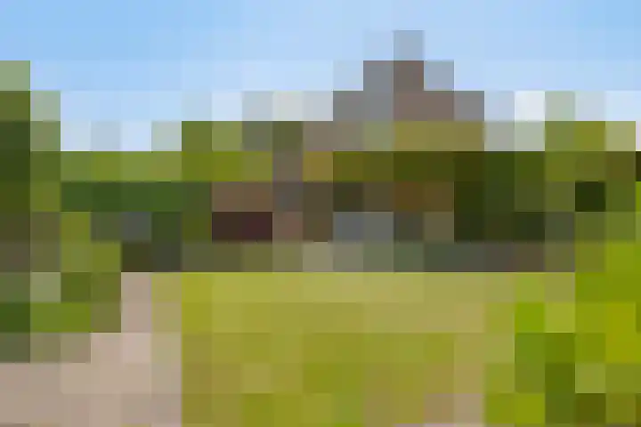 Maaslaan 25 Son en Breugel thumbnail 36