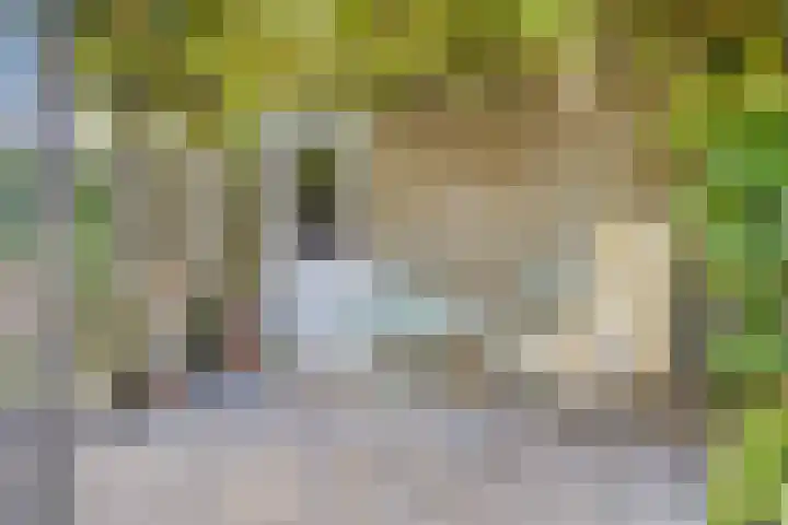Maaslaan 25 Son en Breugel thumbnail 37