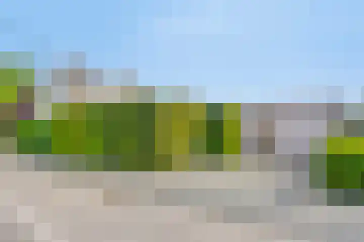 Maaslaan 25 Son en Breugel thumbnail 38