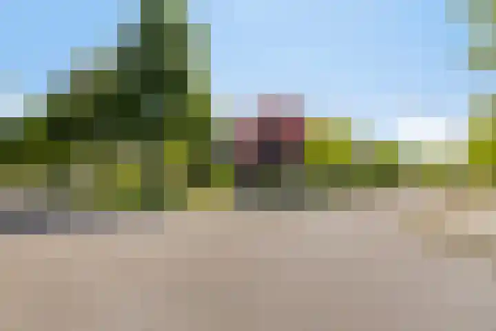 Maaslaan 25 Son en Breugel thumbnail 39
