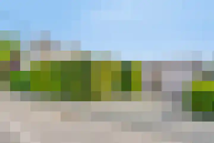 Maaslaan 25 Son en Breugel thumbnail 4