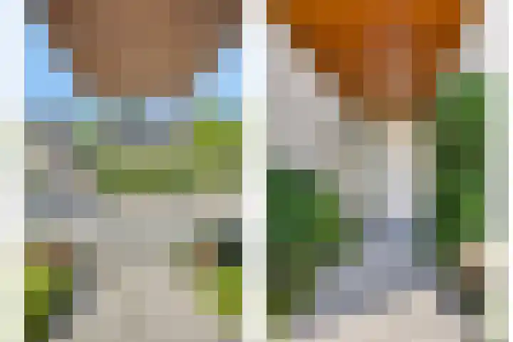 Maaslaan 25 Son en Breugel thumbnail 42