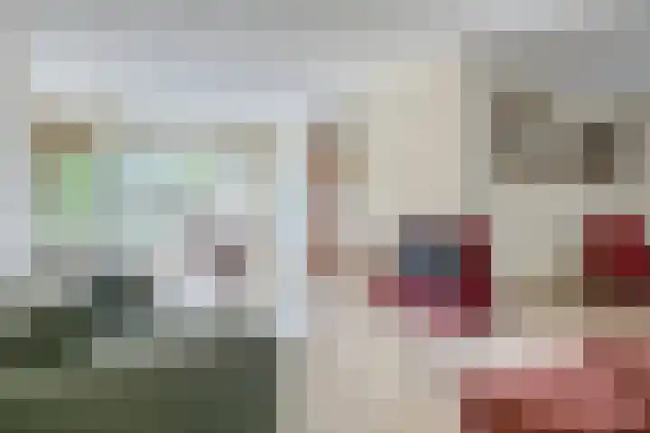 Maaslaan 25 Son en Breugel thumbnail 9