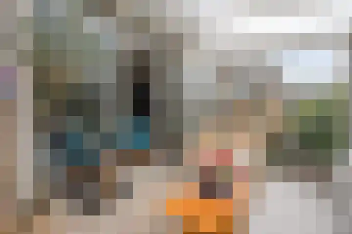 Maaslaan 66 Zwolle thumbnail 11