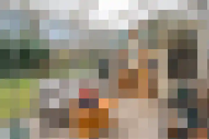 Maaslaan 66 Zwolle thumbnail 12