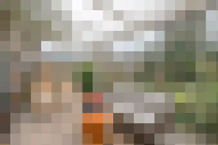 Maaslaan 66 Zwolle thumbnail 13