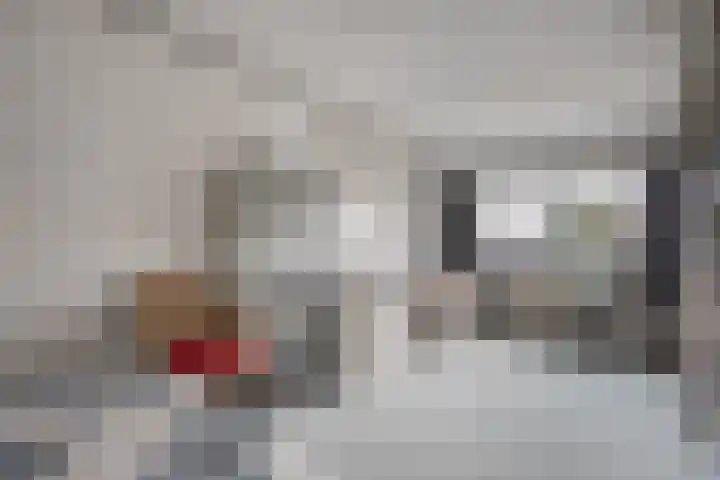 Maaslaan 66 Zwolle thumbnail 26