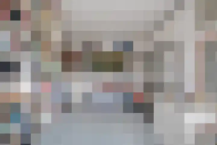 Maaslaan 66 Zwolle thumbnail 27