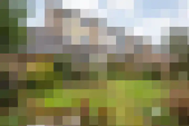 Maaslaan 66 Zwolle thumbnail 29