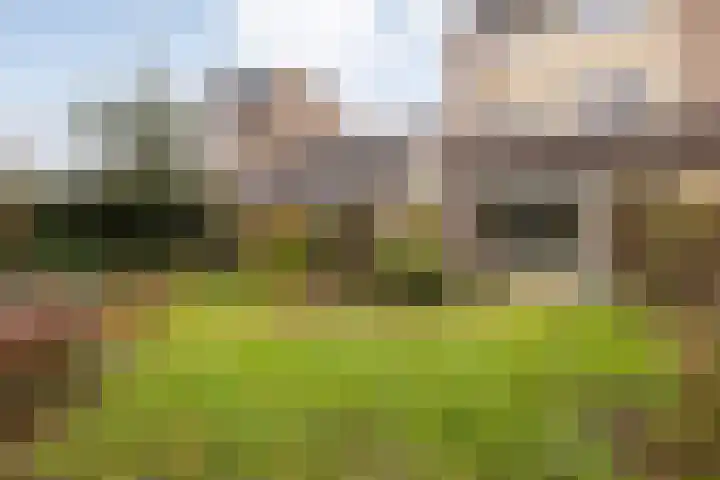 Maaslaan 66 Zwolle thumbnail 30