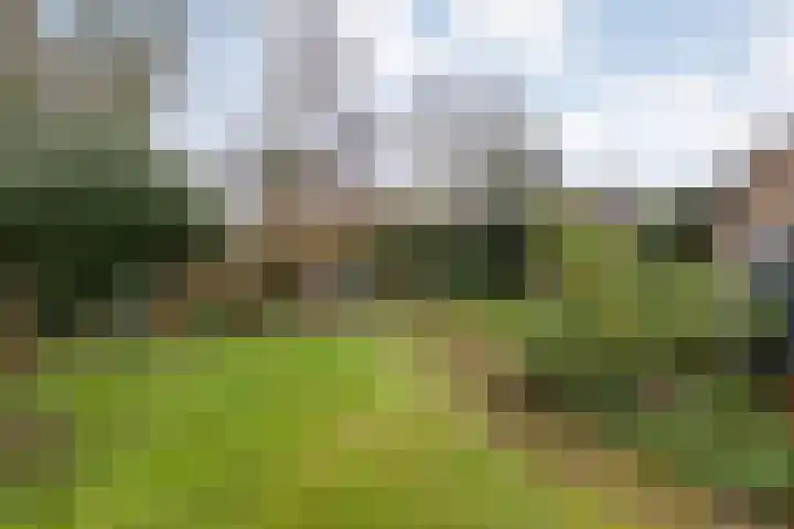 Maaslaan 66 Zwolle thumbnail 31