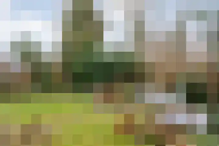 Maaslaan 66 Zwolle thumbnail 32