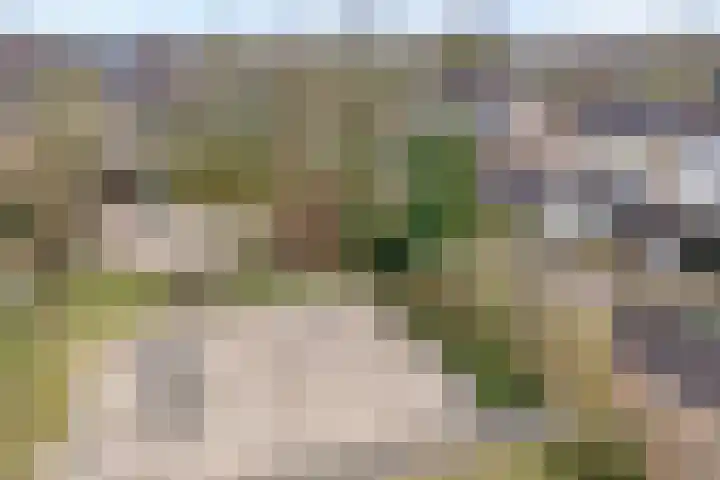 Maaslaan 66 Zwolle thumbnail 35