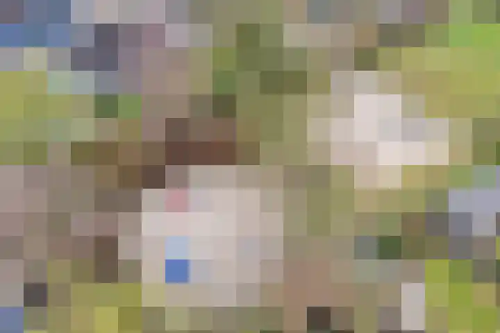 Maaslaan 66 Zwolle thumbnail 36