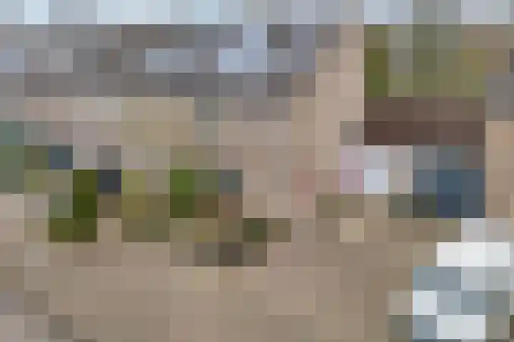 Maaslaan 66 Zwolle thumbnail 38