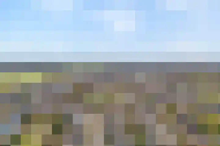 Maaslaan 66 Zwolle thumbnail 41