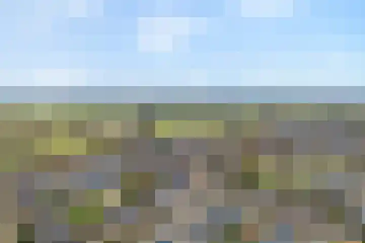 Maaslaan 66 Zwolle thumbnail 42