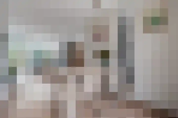 Maaslaan 66 Zwolle thumbnail 6
