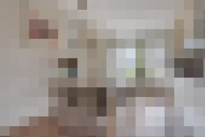 Maaslaan 66 Zwolle thumbnail 7