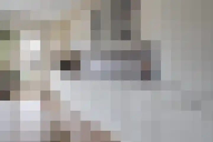 Maaslaan 66 Zwolle thumbnail 9