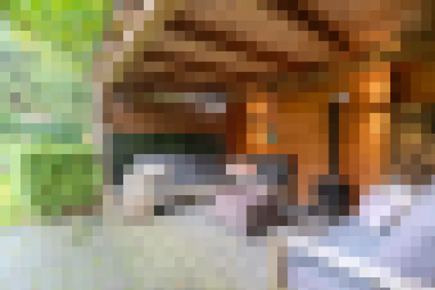 Maaslaan 7 Heemstede thumbnail 15