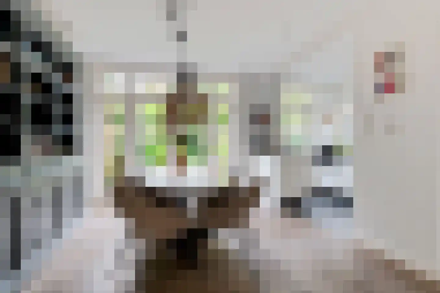 Maaslaan 7 Heemstede thumbnail 4