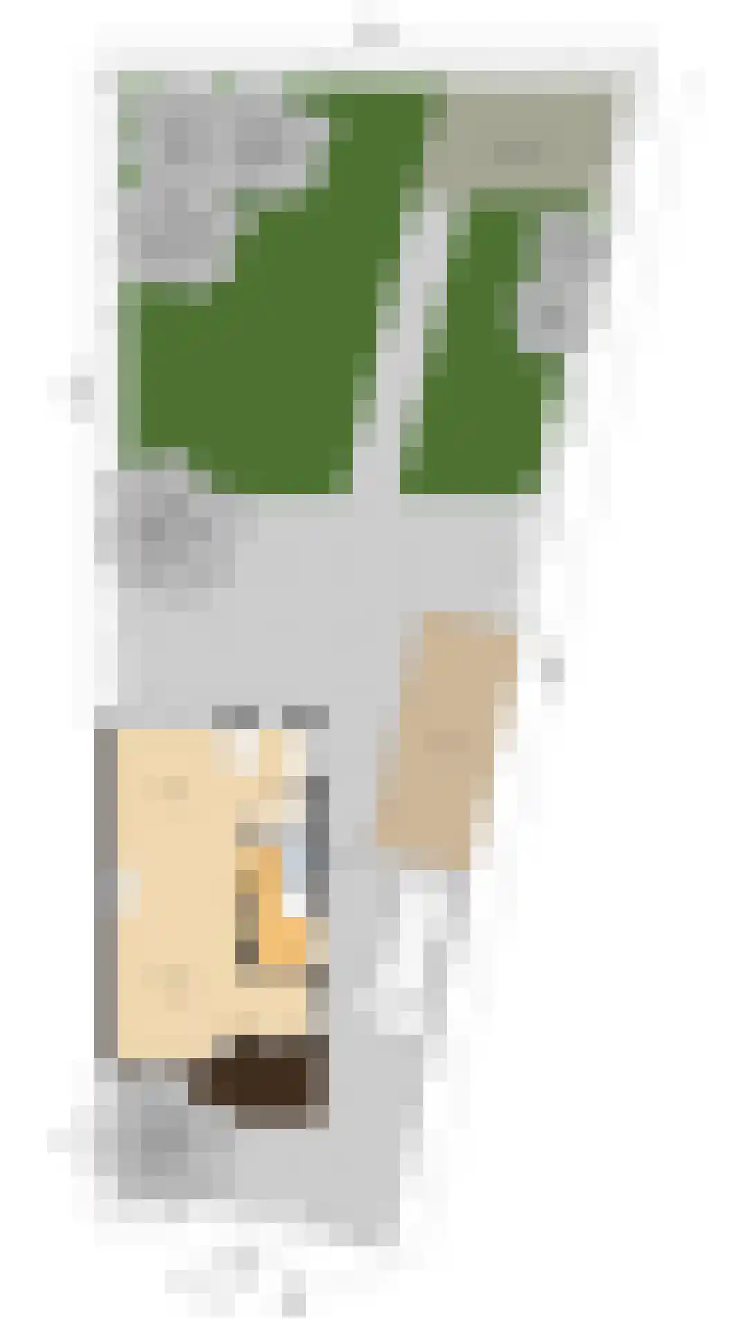 Maaslaan 7 Heemstede thumbnail 44