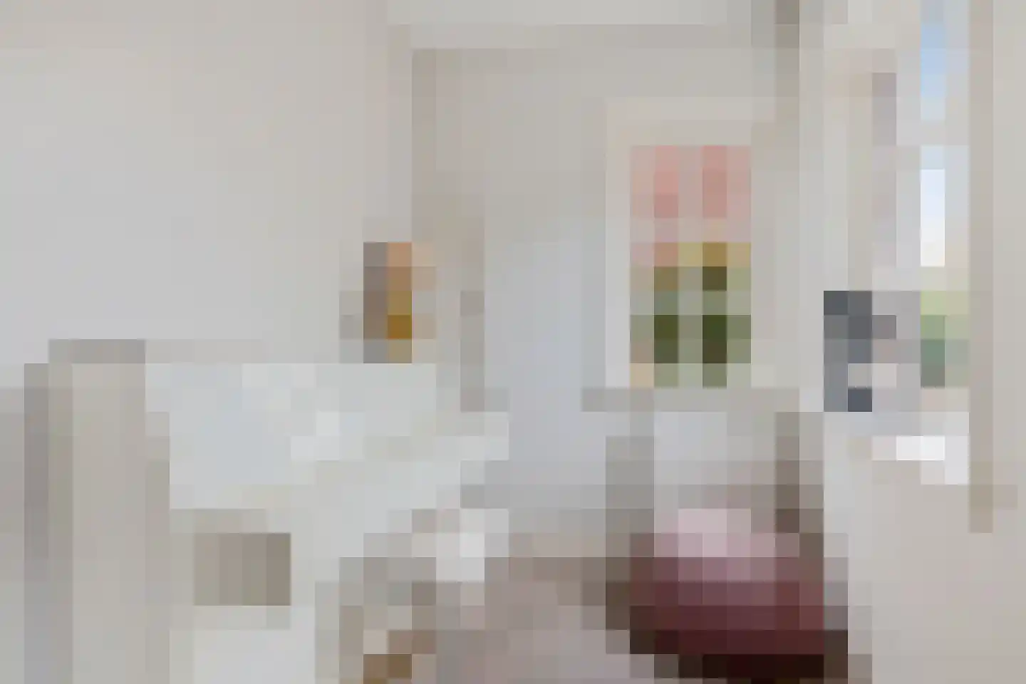 Maaslaan 7 Heemstede thumbnail 9