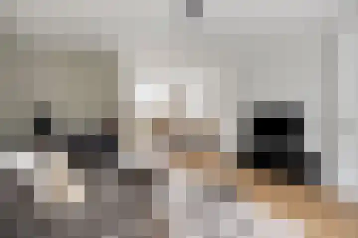 Maaslaan 86 Helmond thumbnail 13