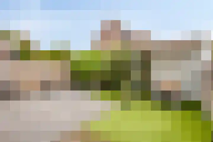 Maaslaan 86 Helmond thumbnail 31