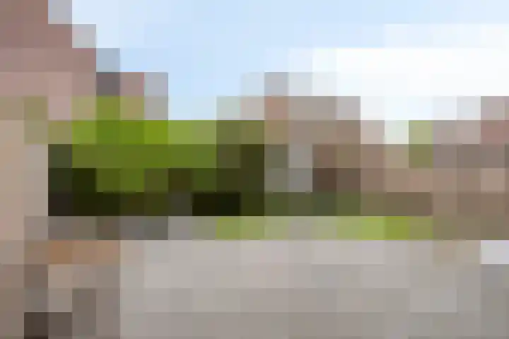 Maaslaan 86 Helmond thumbnail 32