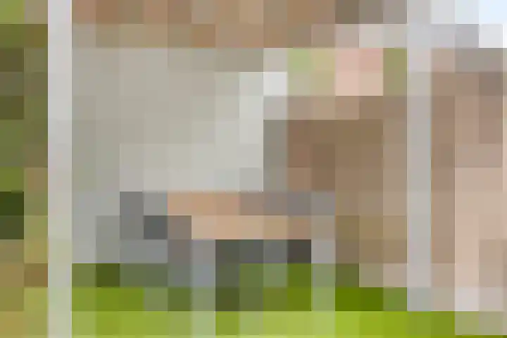 Maaslaan 86 Helmond thumbnail 33