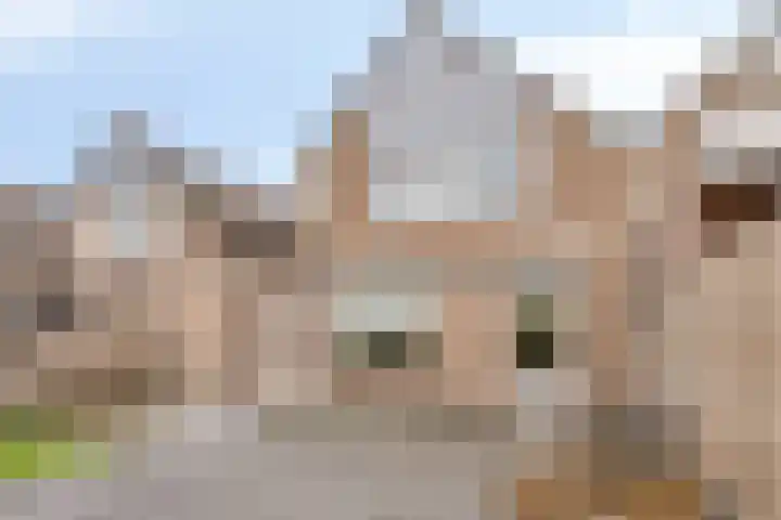 Maaslaan 86 Helmond thumbnail 6