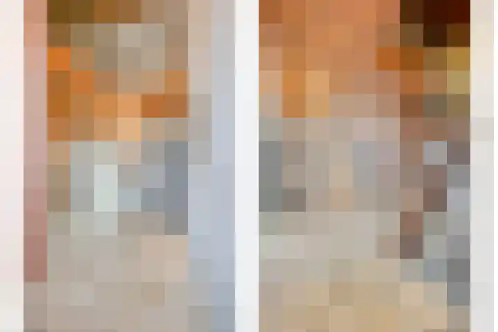 Maaslaantje 1 A Maasdam thumbnail 10