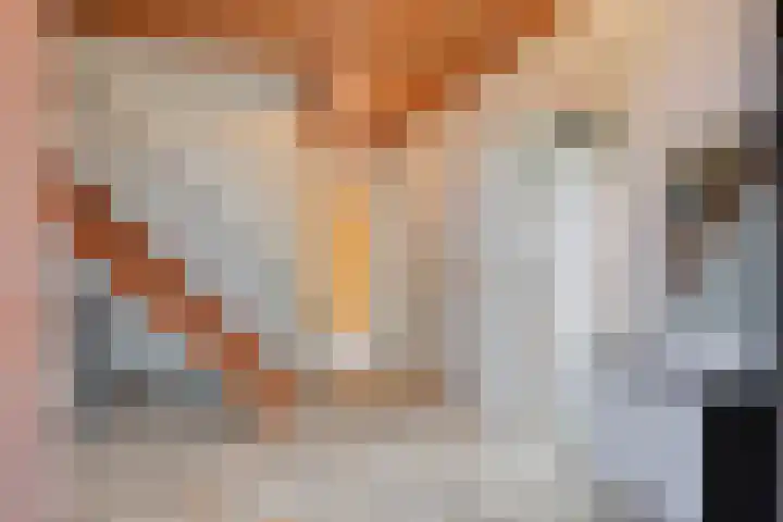 Maaslaantje 1 A Maasdam thumbnail 11