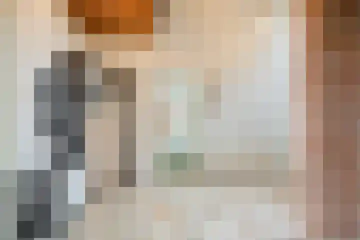 Maaslaantje 1 A Maasdam thumbnail 14